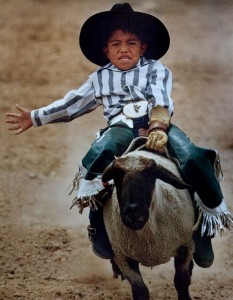 Sheep Riding with a rope